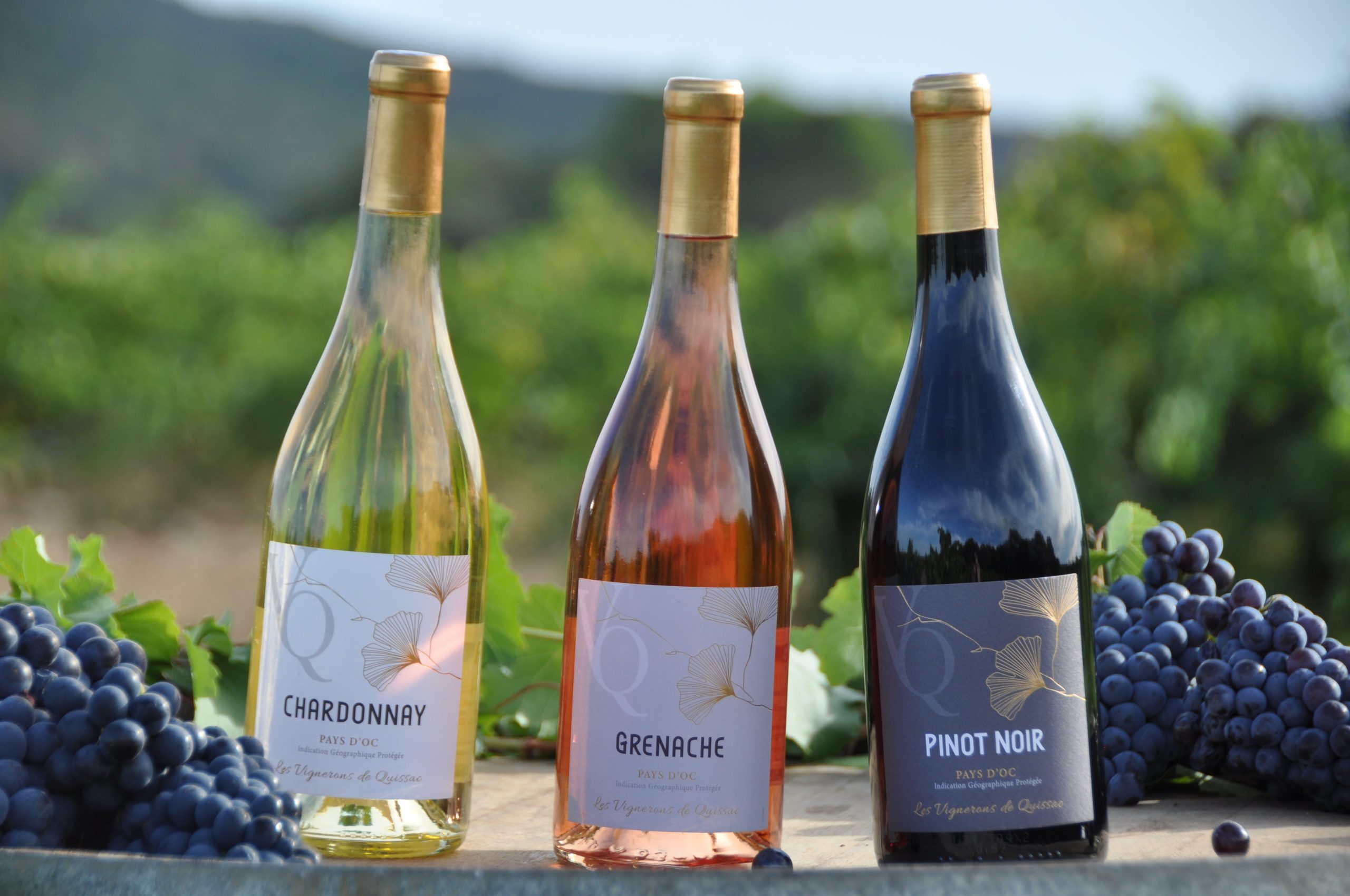 grenache gamme vin quissac