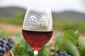 photo cevennes vin rouge