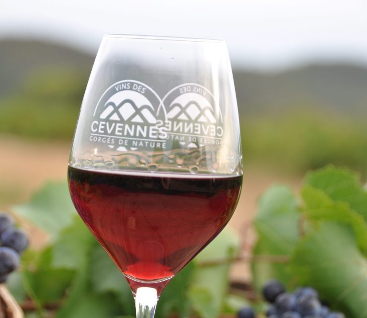 photo cevennes vin rouge