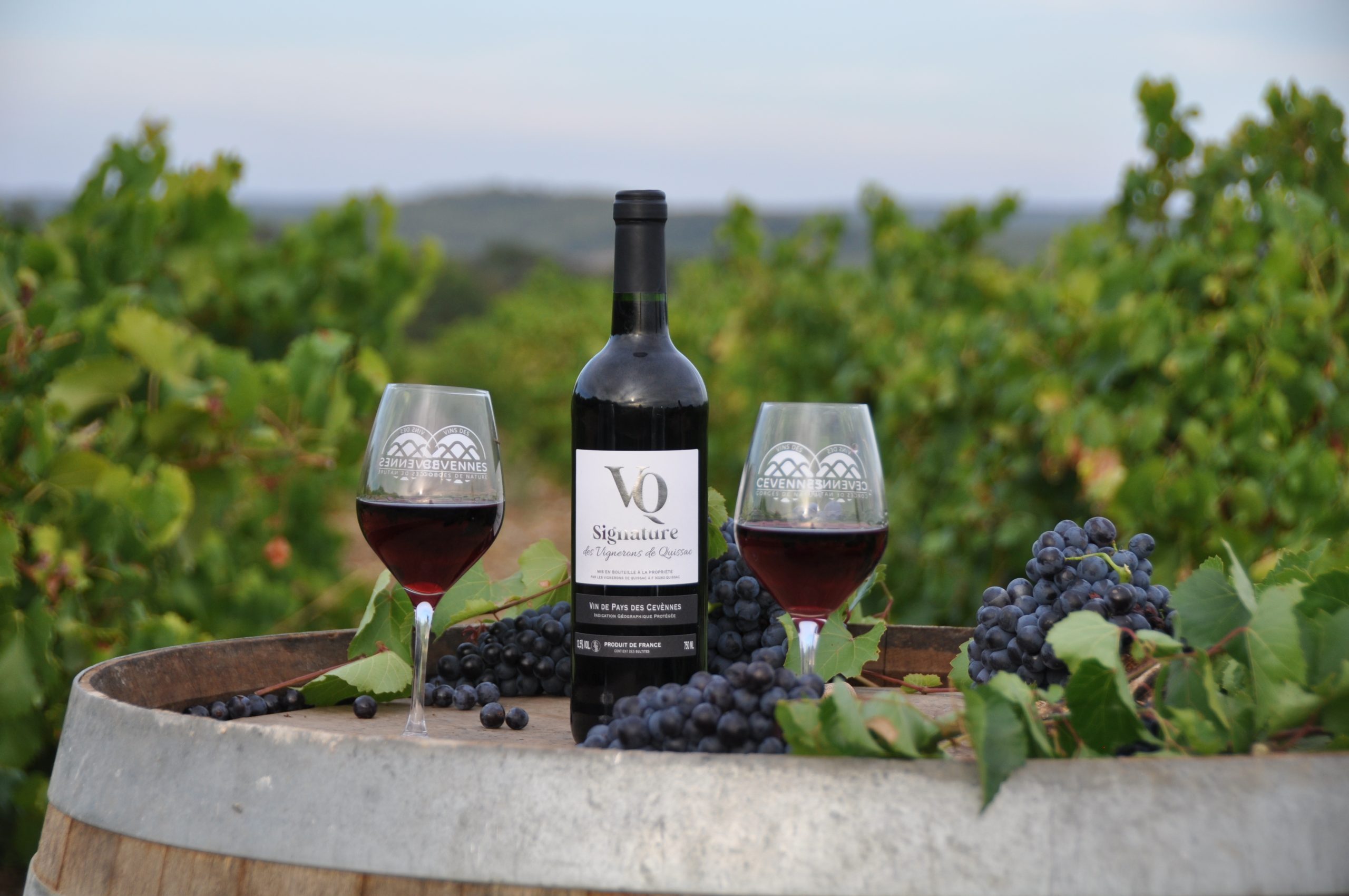 photo signature quissac vin rouge