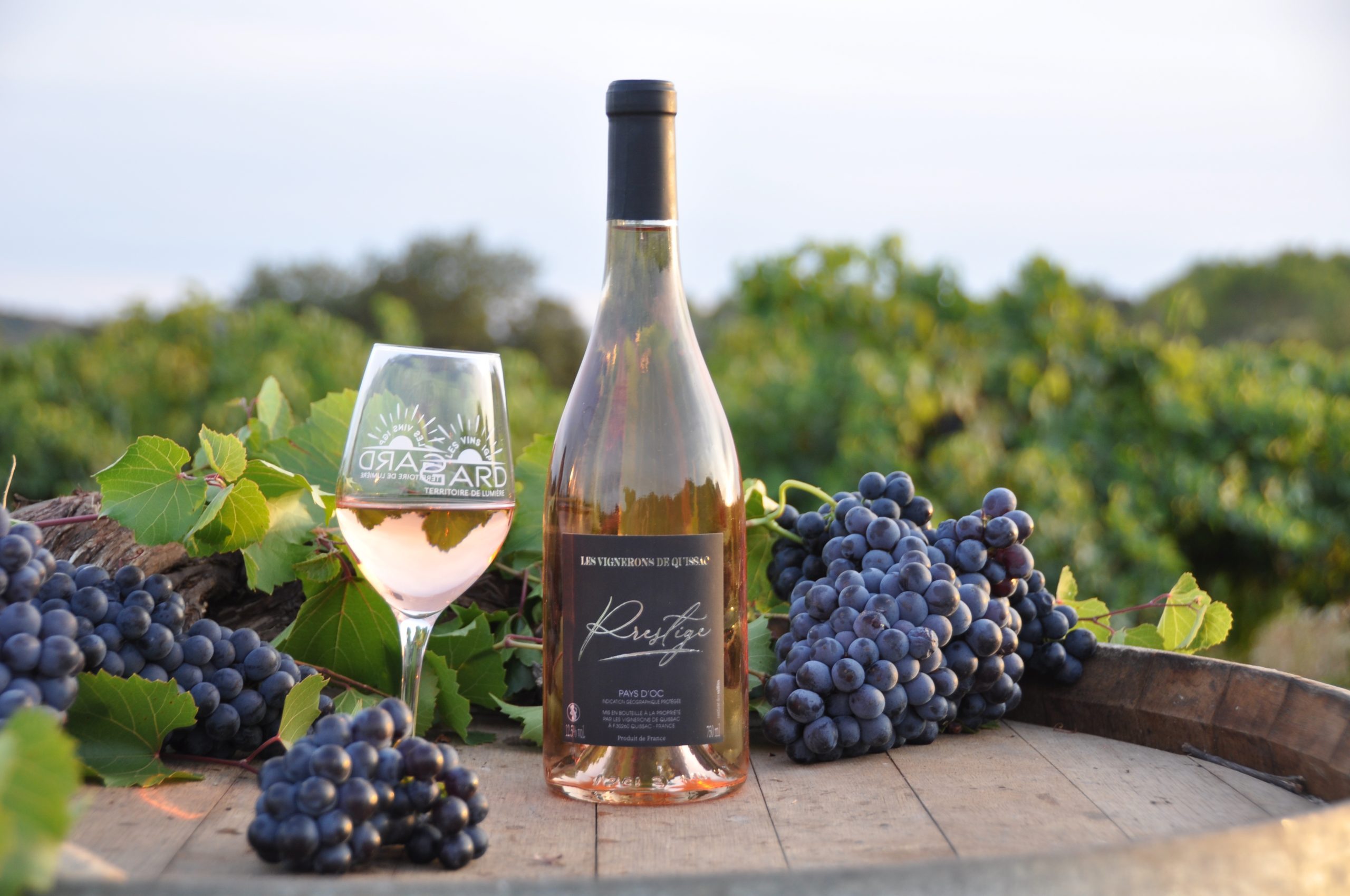 prestige rosé quissac photo