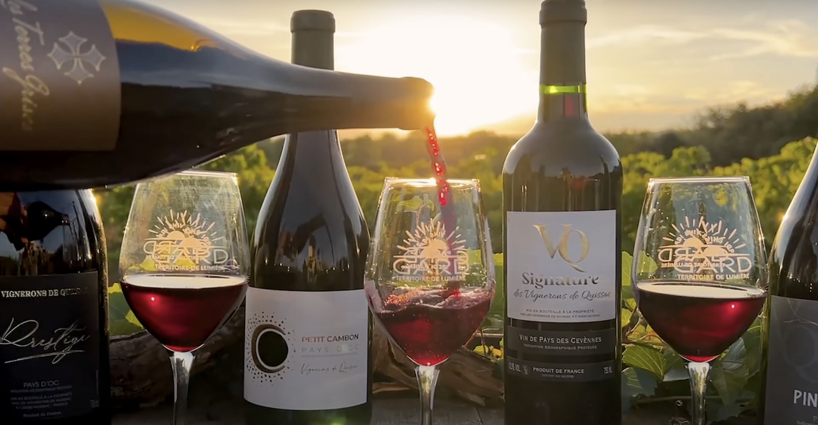 Vin rouge vigne coucher de soleil