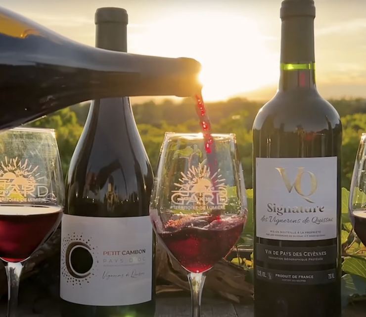 Vin rouge vigne coucher de soleil