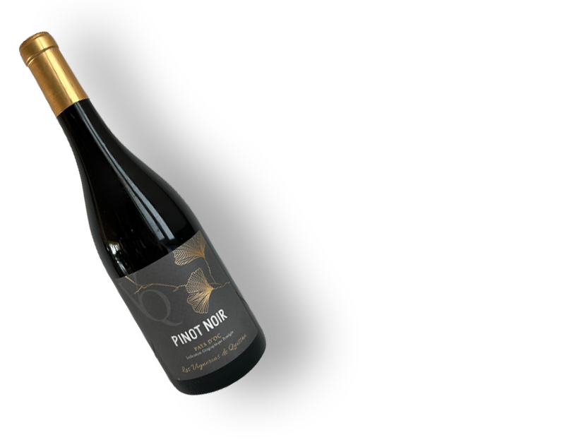 pinot noir accueil