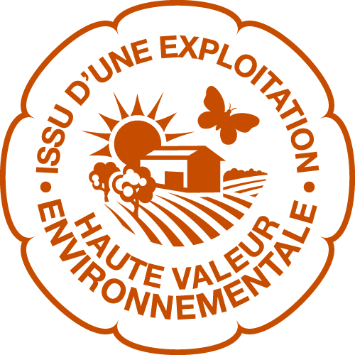 logo hve3